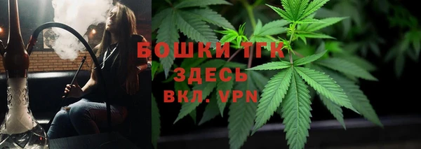 PSILOCYBIN Ельня