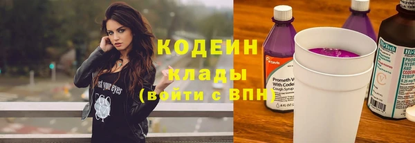 молекула духа Дмитровск