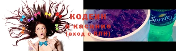 сатива Дмитриев