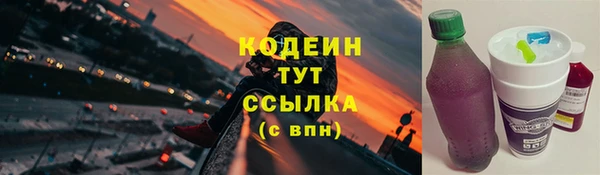 PSILOCYBIN Ельня