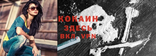 соль ск Елабуга