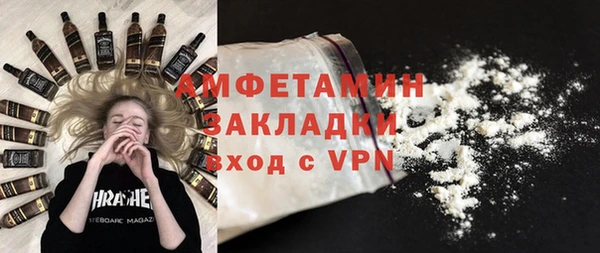 сатива Дмитриев