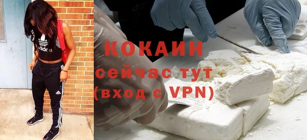 сатива Дмитриев