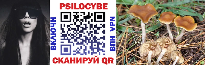 наркота  ОМГ ОМГ ссылки  Галлюциногенные грибы Psilocybine cubensis  Сызрань 